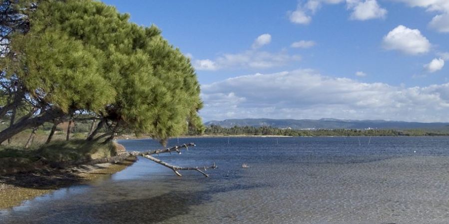 punta trettu